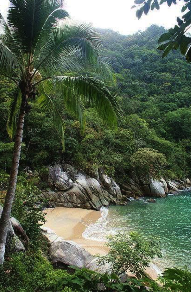 Canyoning and rappelling in Colomitos & Las Ánimas Hike, Puerto Vallarta (photo 1)